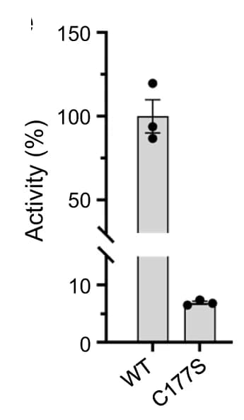 Open access visualization of Bar Plot, Error Bars, Activity, Mutant