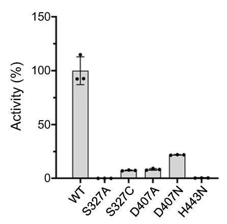 Open access visualization of Bar Plot, Error Bars, Activity, Triad Mutants, FSEC Assays