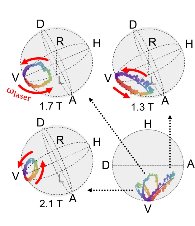 Open access visualization of Scatter Plot, Output Polarization, Poincare Sphere, Energy Detuning, Magnetic Fields