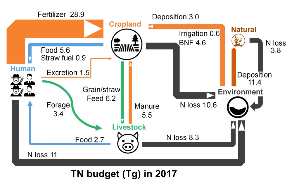 Open access visualization of Sankey, Nitrogen Budget, Subsystems, Cropland, Livestock
