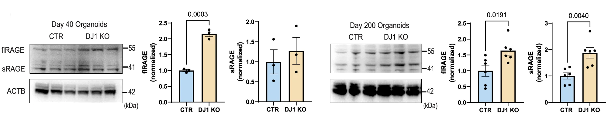 Open access visualization of Bar Plot, Error Bars, Photo, Gel, Immunoblots