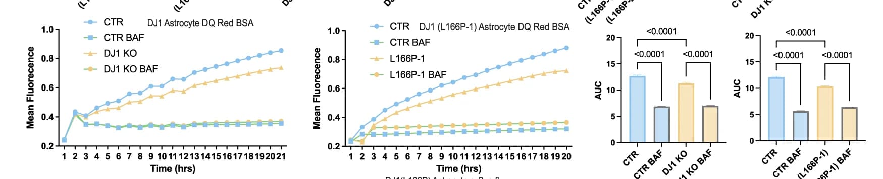 Open access visualization of Line Plot, Bar Plot, Error Bars, DQBSA Proteolysis, Live Imaging Assay