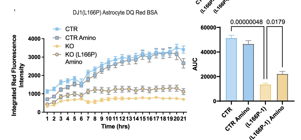Open access visualization of Line Plot, Error Bars, Bar Plot, DQBSA Proteolysis, Live Imaging Assay