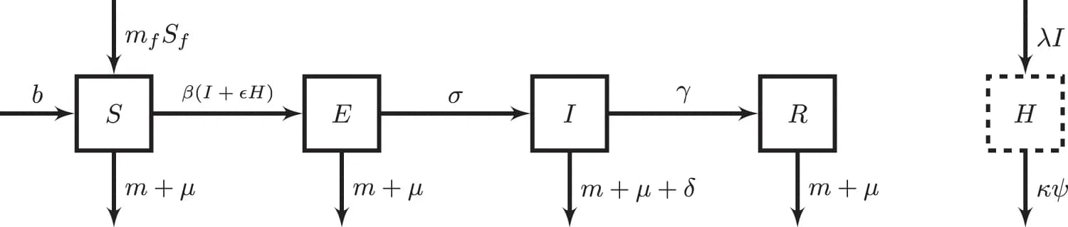 Open access visualization of Workflow, Flowchart, Poultry, Markets, Susceptible Poultry