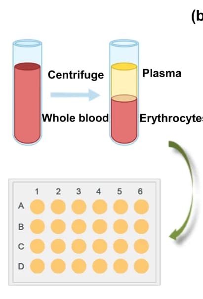 Open access visualization of Workflow, Illustration, Table Image, Platelet Adhesion, In Vitro