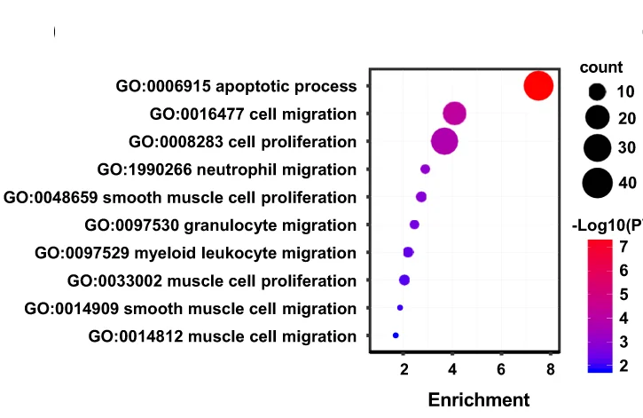 Open access visualization of Bubble Plot, Scatter Plot, Gene Ontology Analysis, Differentially Expressed Genes, PLA