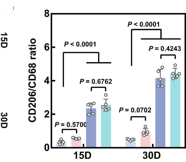 Open access visualization of Bar Plot, Error Bars, Clustered, CD206, CD68