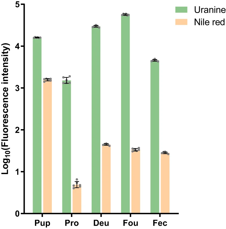 Open access visualization of Bar Plot, Clustered, Error Bars, Nile Red, Uranine