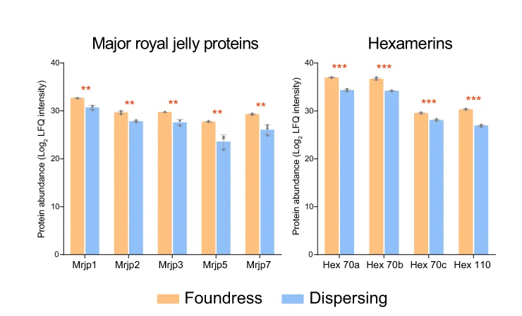 Open access visualization of Clustered, Error Bars, Royal Jelly Proteins, Hexamerins, Foundresses