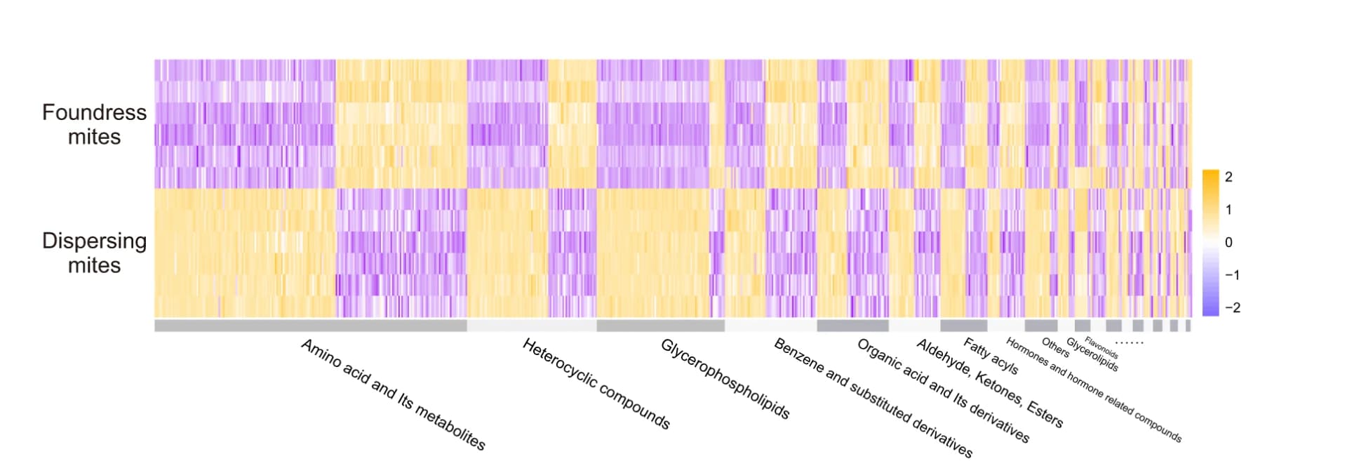Open access visualization of Heatmap, Classification, Metabolites, Foundresses, Dispersing Mites