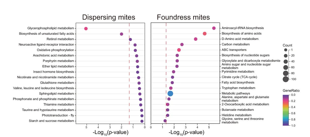 Open access visualization of Scatter Plot, Bubble Plot, KEGG Pathways, Metabolites, Foundresses