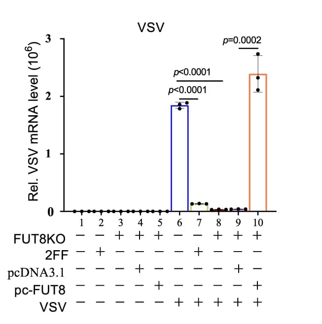 Open access visualization of Bar Plot, Error Bars, RT-qPCR, Virus mRNA, FUT8KO HEK293 Cells