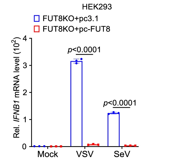 Open access visualization of Bar Plot, Error Bars, RT-qPCR, IFNB1 mRNA, WT HEK293