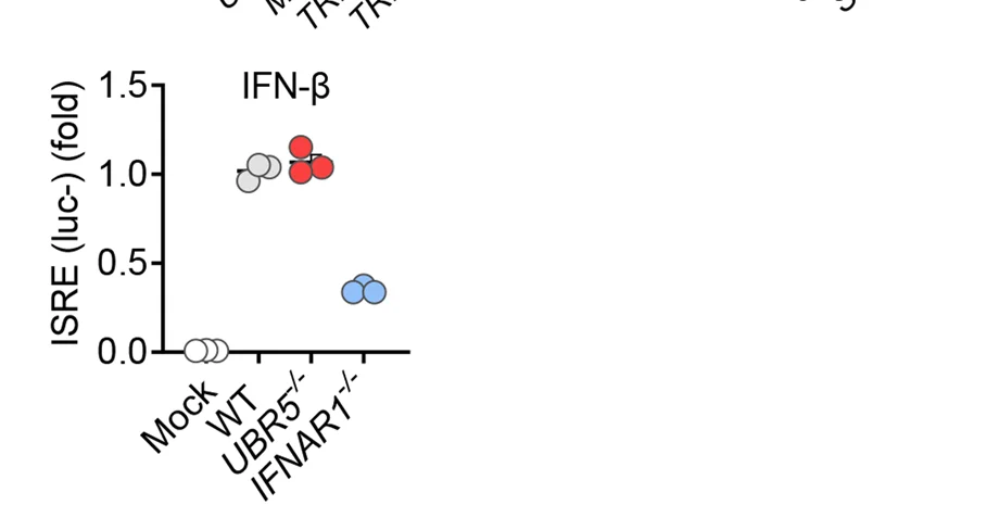 Open access visualization of Scatter Plot, Luciferase Results, E3 Knockouts, Positive Controls, ANOVA
