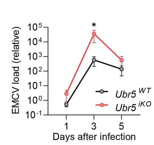 Open access visualization of Line Plot, Error Bars, EMCV RNA, Blood Cells, qRT-PCR
