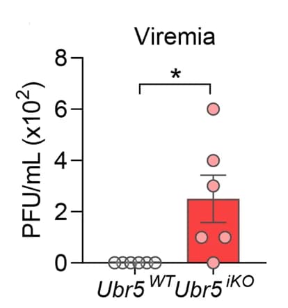 Open access visualization of Bar Plot, Error Bars, Scatter Plot, Viremia, Mice