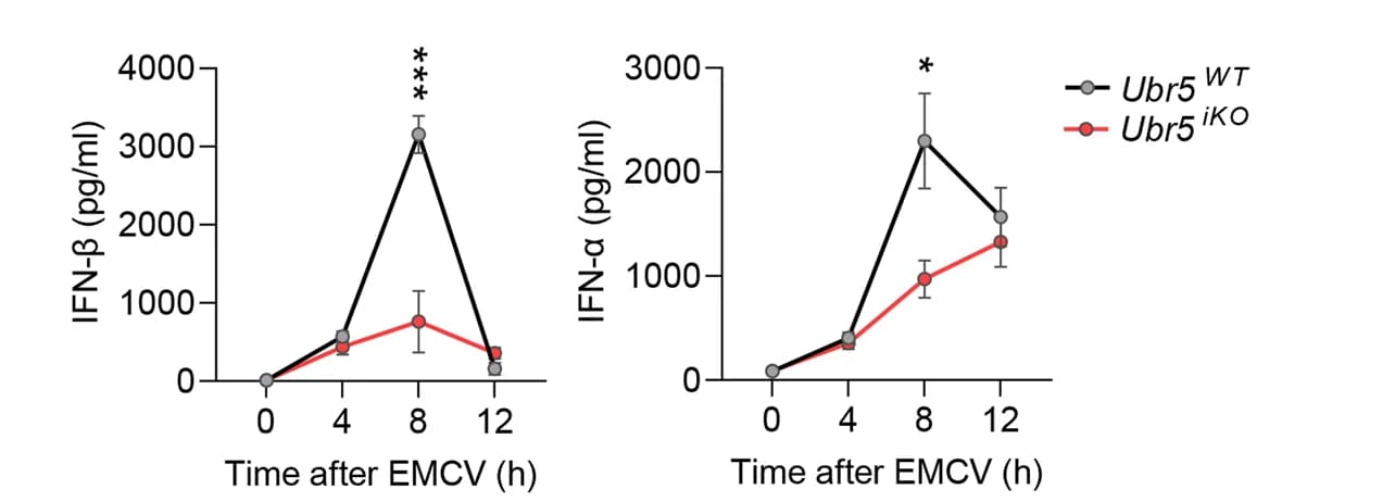 Open access visualization of Line Plot, Error Bars, Serum, Type I IFN, Cytokine Concentrations