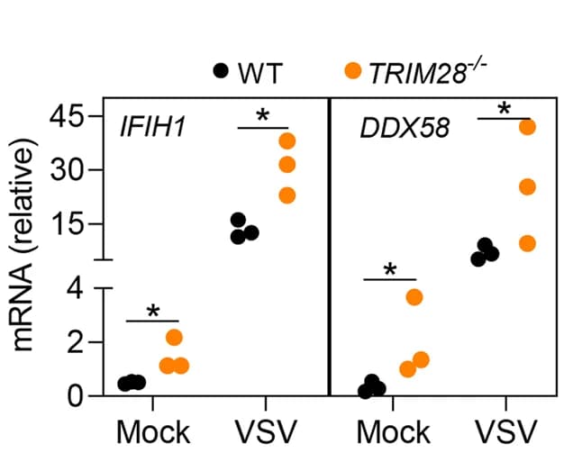 Open access visualization of Scatter Plot, IFIH1, DDX58, MDA5, RIG-I