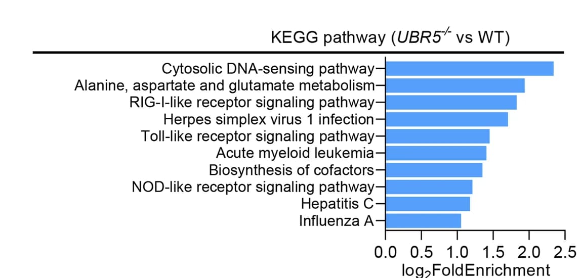 Open access visualization of Bar Plot, KEGG Pathways, Reactome Pathways, Downregulated Genes, UBR5
