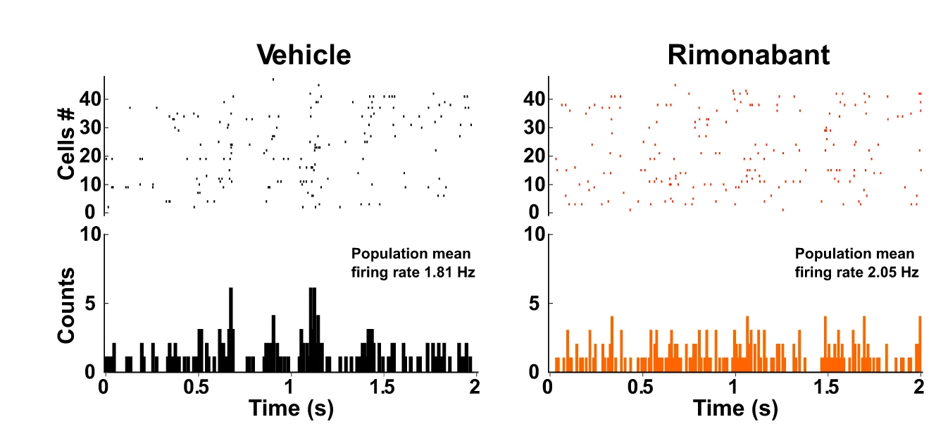 Open access visualization of Bar Plot, Histogram, Scatter Plot, Raster Plots, Excitatory Units