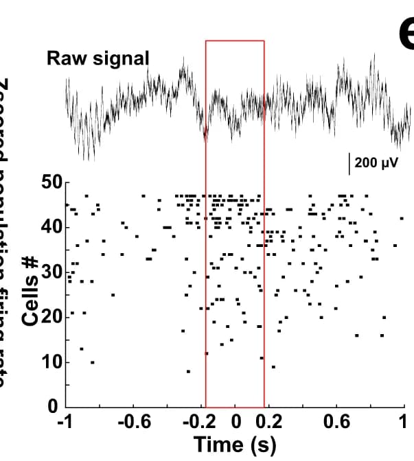 Open access visualization of Line Plot, Scatter Plot, Layer 2, Raw Signal, PopEvent