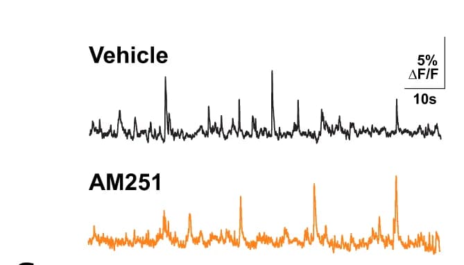 Open access visualization of Line Plot, Calcium Events, Vehicle, AM251, Local Injection