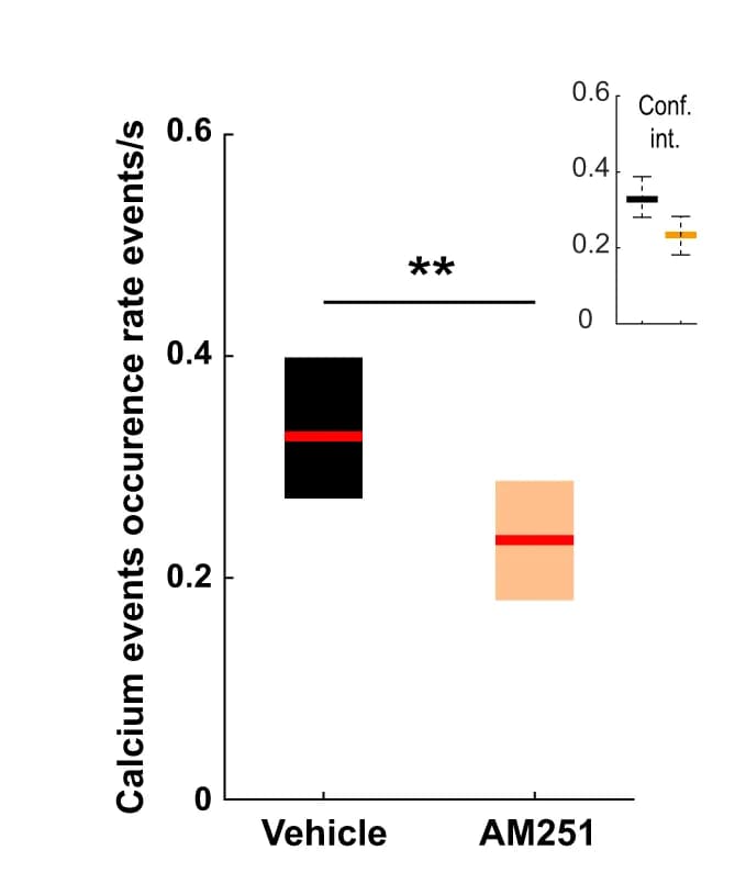 Open access visualization of Bar Plot, Error Bars, Calcium Events, Vehicle, AM251