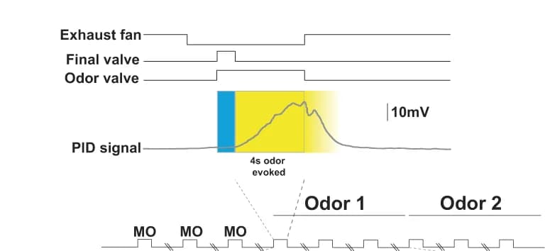 Open access visualization of Line Plot, Line Step, Experimental Design, Calcium Signal, Odor Presentation