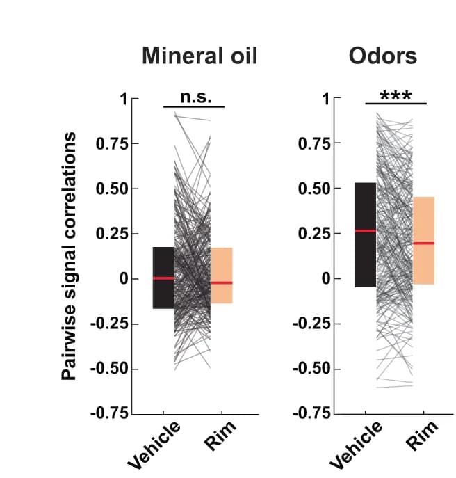 Open access visualization of Box Plot, Line Plot, Signal Correlations, E Cells, Vehicle