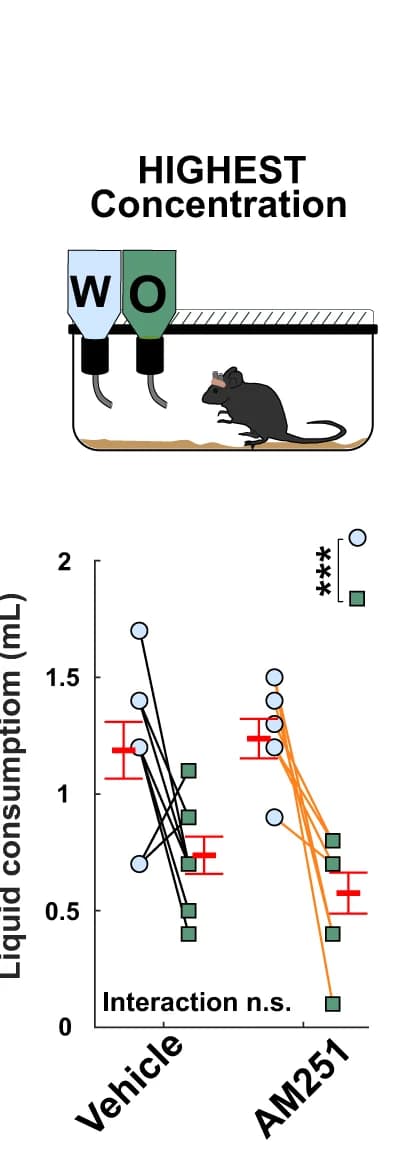 Open access visualization of Line Plot, Error Bars, Odor Aversion Task, Odorized Solution, Water