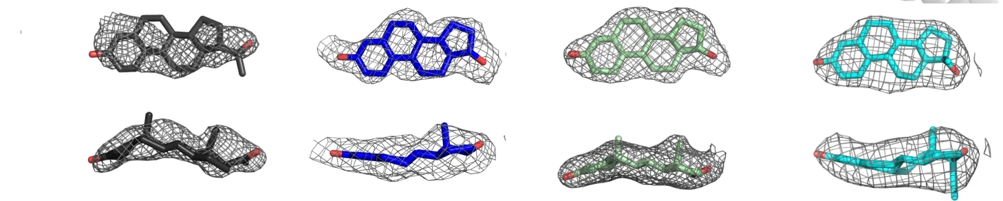 Open access visualization of Protein Structure, Chemical Structure, Electron Density Maps, Ligand, MtrR