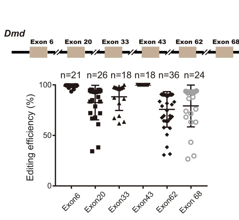 Open access visualization of Scatter Plot, Error Bars, TnpB, Gene Editing Efficiency, Dmd Gene
