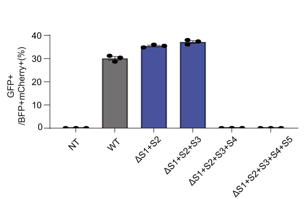 Open access visualization of Bar Plot, Error Bars, Reporter Assay, RNA, Truncation