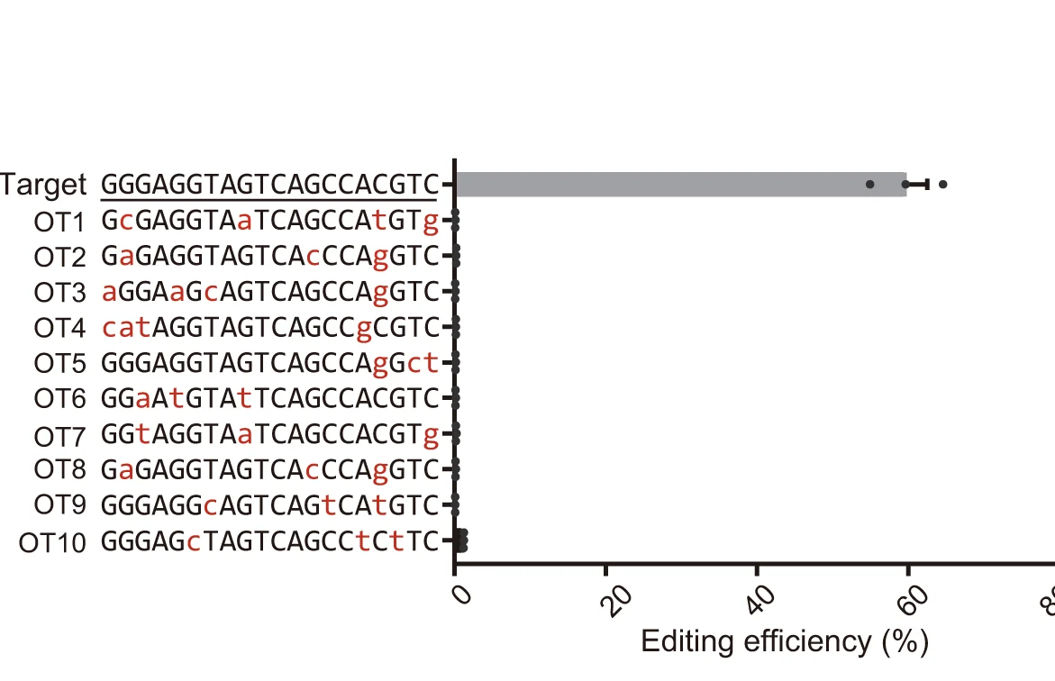 Open access visualization of Bar Plot, Error Bars, Off-Target Analysis, Genomic Loci, Cas-OFFinder