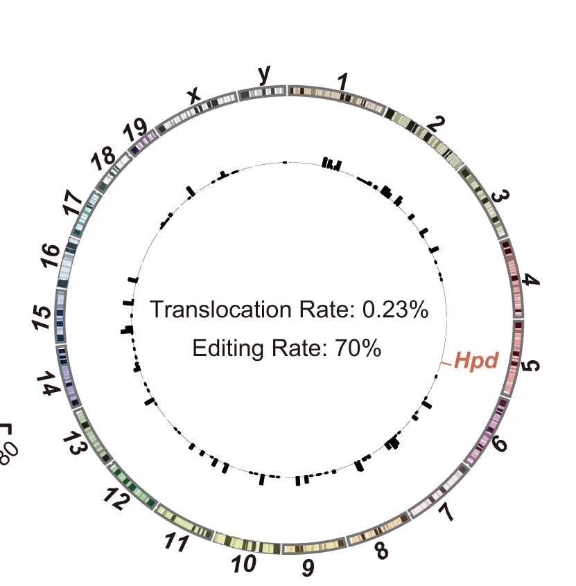 Open access visualization of Network, Pathway, Genome-Wide Off-Target Analysis, PEM-Seq, TnpB-RNA