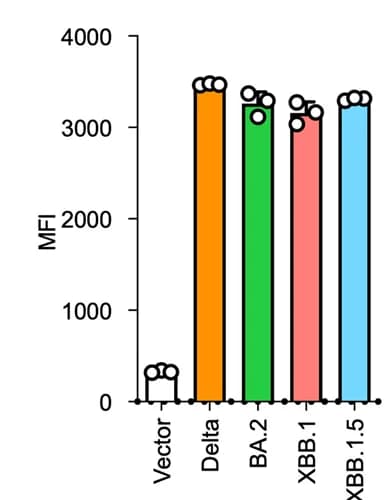 Open access visualization of Bar Plot, S Protein, HEK293 Cells, Transfection