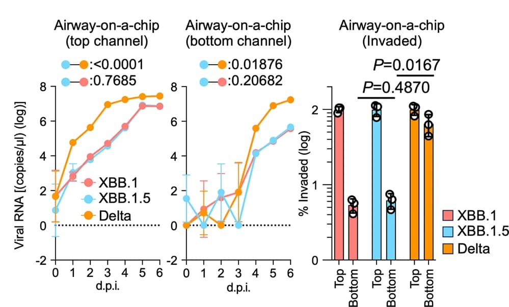 Open access visualization of Line Plot, Error Bars, Bar Plot, Clinical Isolates, XBB.1