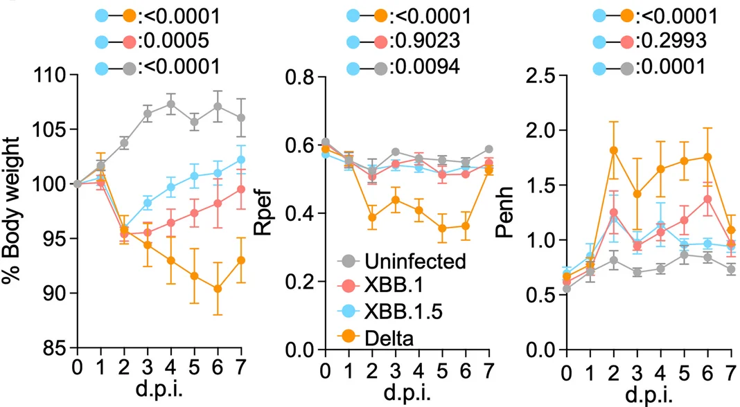 Open access visualization of Line Plot, Error Bars, Body Weight, Penh, Rpef