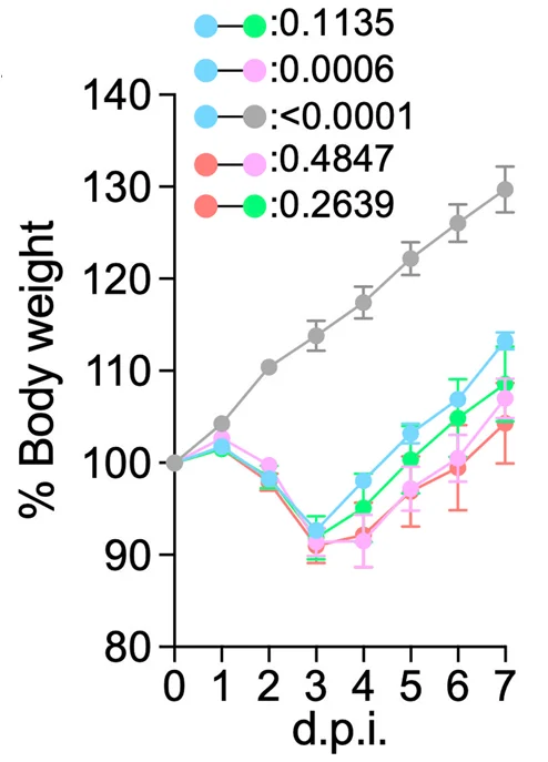 Open access visualization of Line Plot, Error Bars, Body Weight, Infected Hamsters