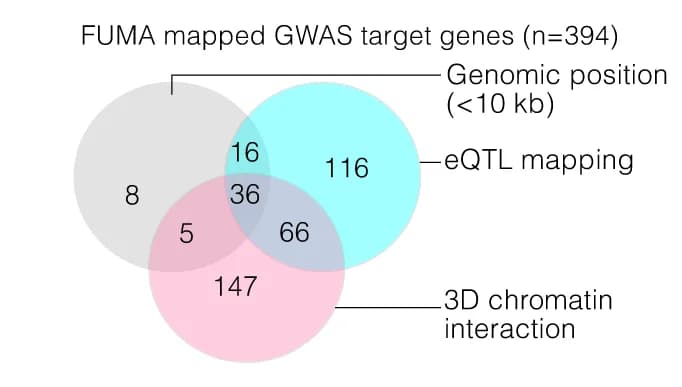Open access visualization of Venn Diagram, GWAS, Genomic Position, Gene Expression, Chromatin Interaction