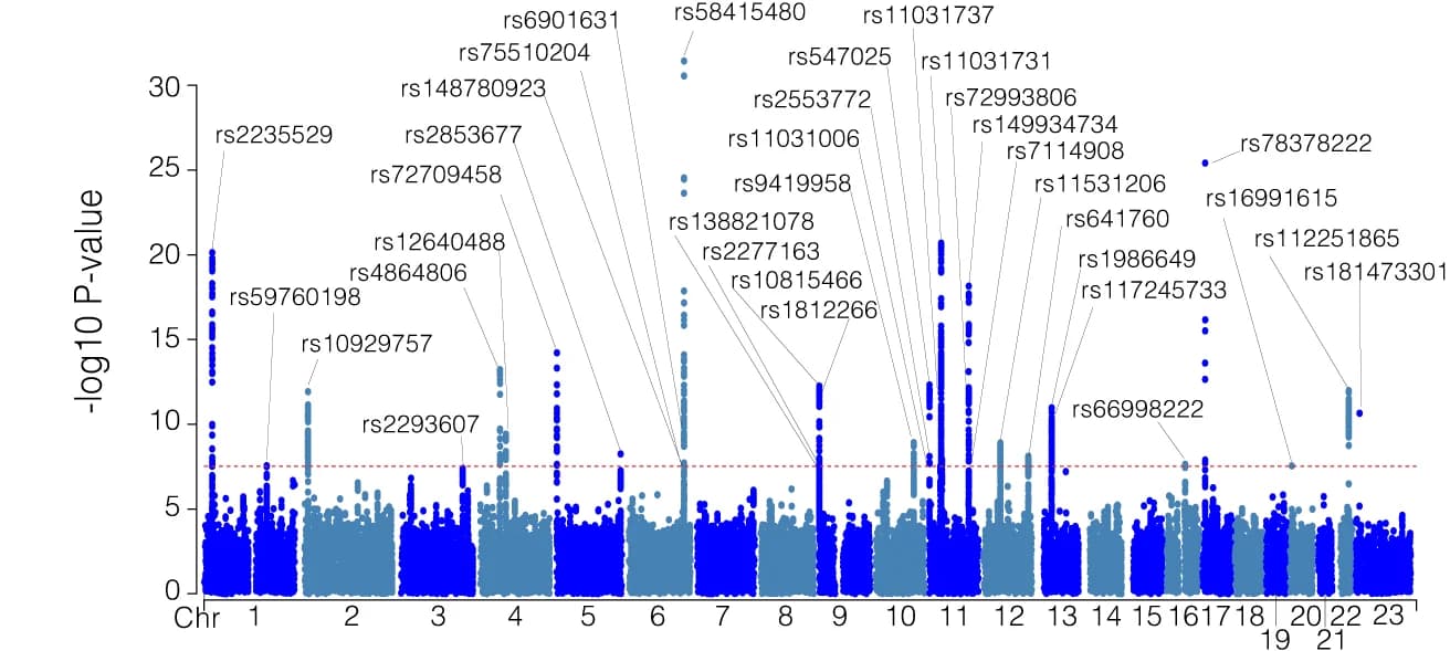 Open access visualization of Scatter Plot, Manhattan Plot, SNP, UF Disease Phenotype, Significance