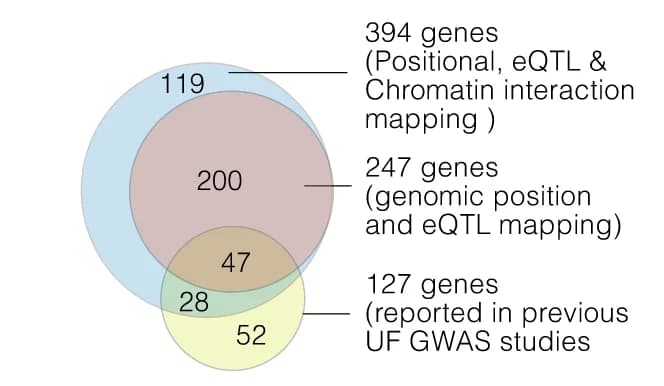 Open access visualization of Venn Diagram, UF GWAS, Target Genes