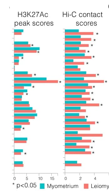 Open access visualization of Bar Plot, Clustered, H3K27ac ChIP-Seq, Hi-C Chromatin, Uterine Fibroid Tumors