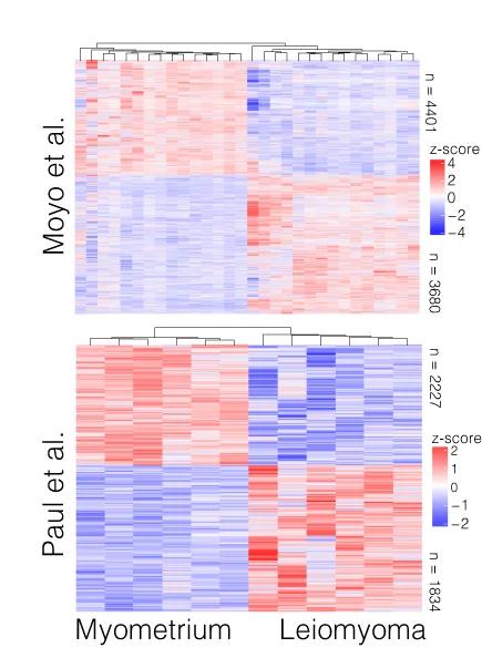 Open access visualization of Heatmap, Clustered, Differentially Regulated Genes, Leiomyoma, MyoF