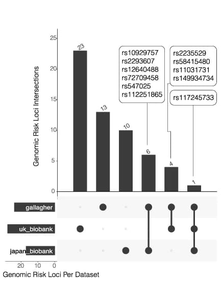 Open access visualization of Bar Plot, UpSet, UF Risk Loci, GWAS Studies, SNP
