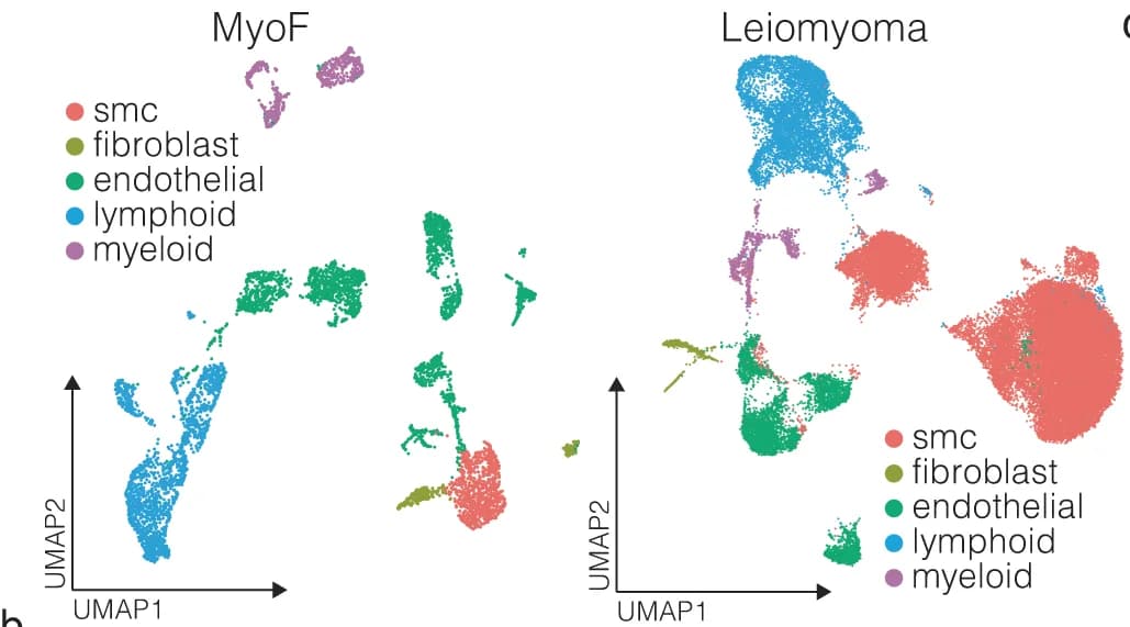 Open access visualization of Scatter Plot, UMAP, Dot Plot, Single-Cell Gene Expression, scRNA-Seq