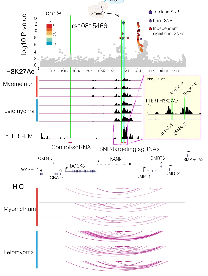 Open access visualization of Scatter Plot, Line Plot, Network, SNP, ChIP-Seq