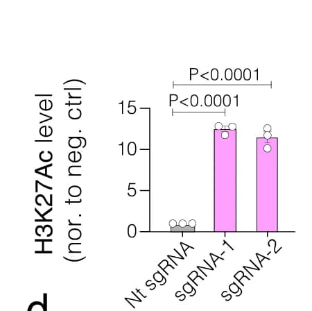 Open access visualization of Bar Plot, Scatter Plot, qPCR, H3K27ac, Chromatin Immunoprecipitation