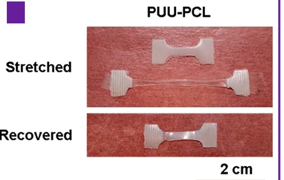 Open access visualization of Photo, PUU-PCL, Samples, Stretching, Recovery