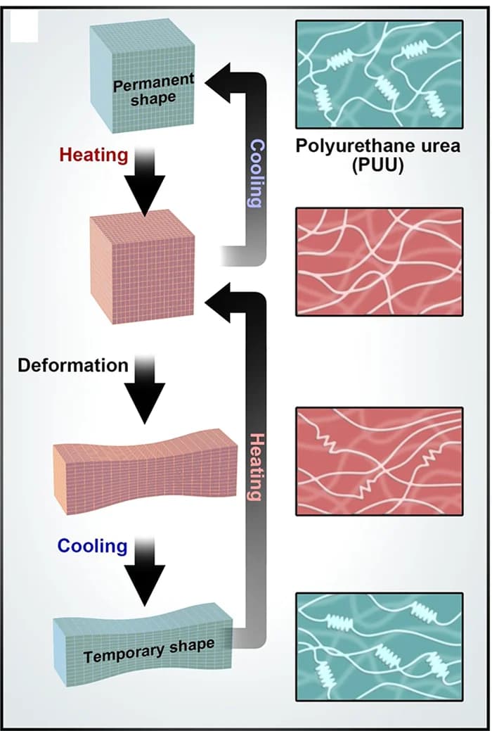 Open access visualization of Workflow, Illustration, Chemical Structure, Shape Memory, Mechanism